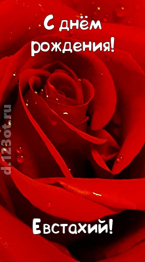 неподкупная открытка с днём рождения евстахий, скачать онлайн бесплатно на iphone для вацап, поздравление евстахий