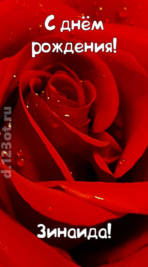 неподкупная открытка с днём рождения зинаида, скачать онлайн бесплатно на iphone для вацап, поздравление зинаида