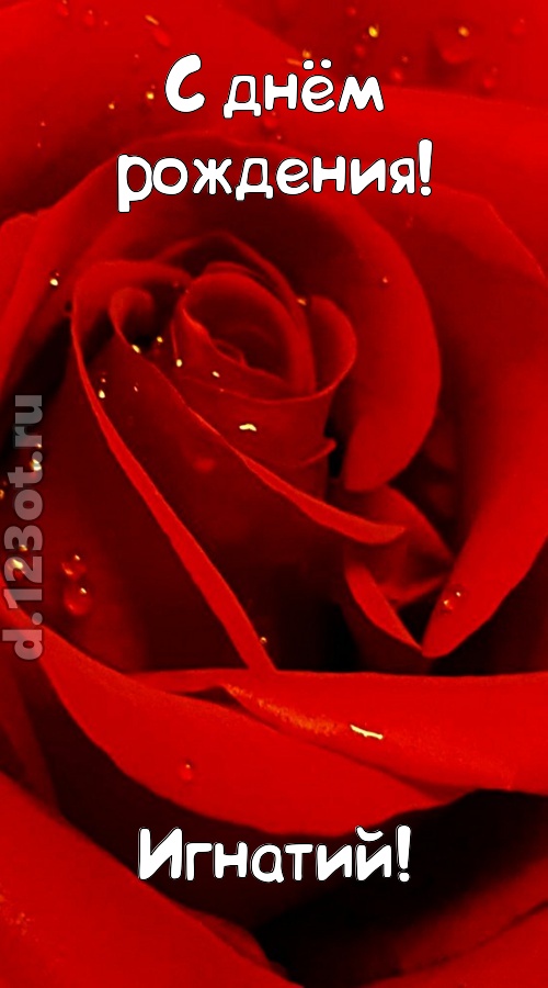 неподкупная открытка с днём рождения игнатий, скачать онлайн бесплатно на iphone для вацап, поздравление игнатий