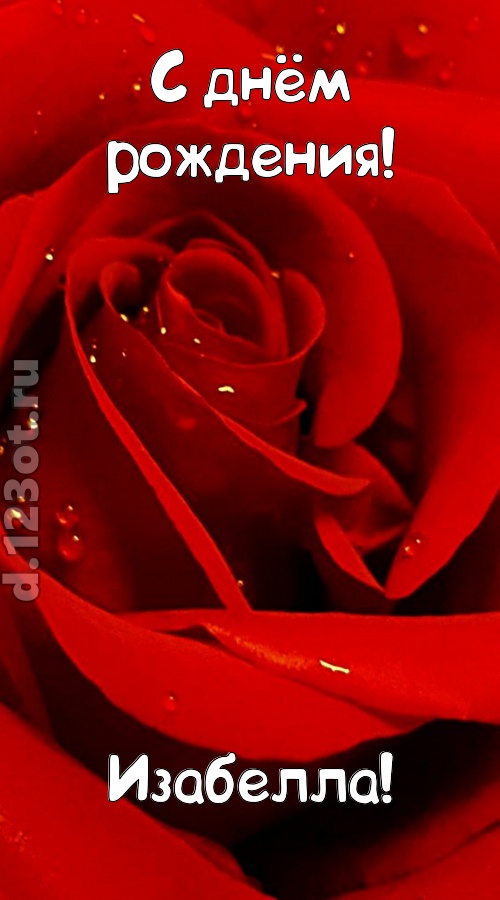 неподкупная открытка с днём рождения изабелла, скачать онлайн бесплатно на iphone для вацап, поздравление изабелла