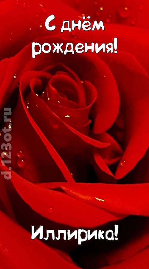 неподкупная открытка с днём рождения иллирика, скачать онлайн бесплатно на iphone для вацап, поздравление иллирика