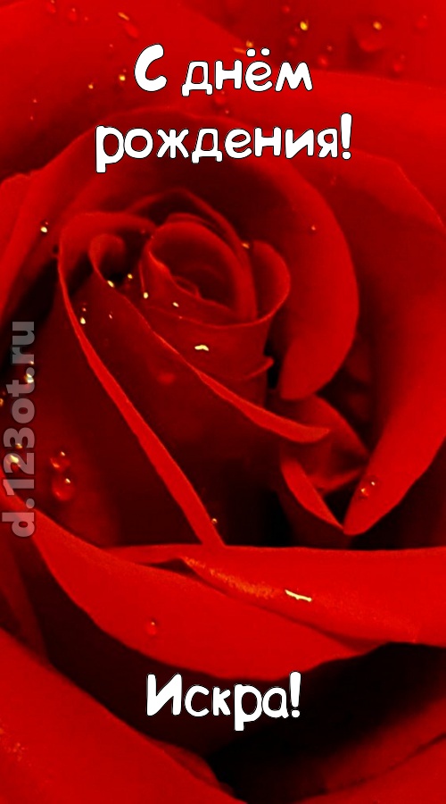 неподкупная открытка с днём рождения искра, скачать онлайн бесплатно на iphone для вацап, поздравление искра