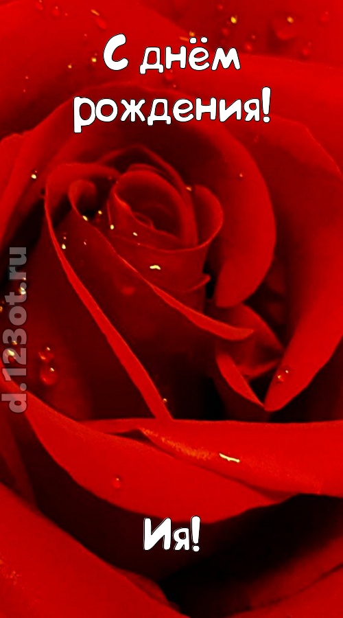неподкупная открытка с днём рождения ия, скачать онлайн бесплатно на iphone для вацап, поздравление ия