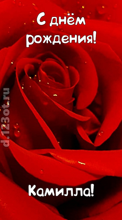 неподкупная открытка с днём рождения камилла, скачать онлайн бесплатно на iphone для вацап, поздравление камилла