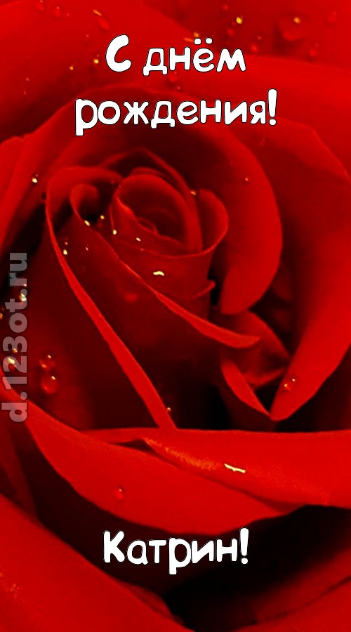 неподкупная открытка с днём рождения катрин, скачать онлайн бесплатно на iphone для вацап, поздравление катрин
