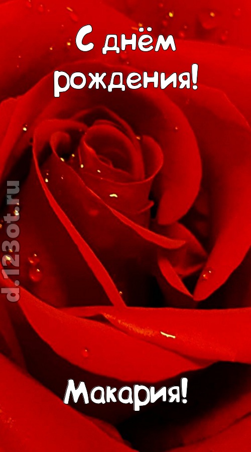 неподкупная открытка с днём рождения макария, скачать онлайн бесплатно на iphone для вацап, поздравление макария