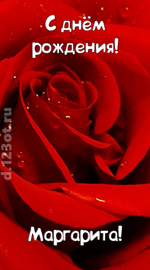 неподкупная открытка с днём рождения маргарита, скачать онлайн бесплатно на iphone для вацап, поздравление маргарита