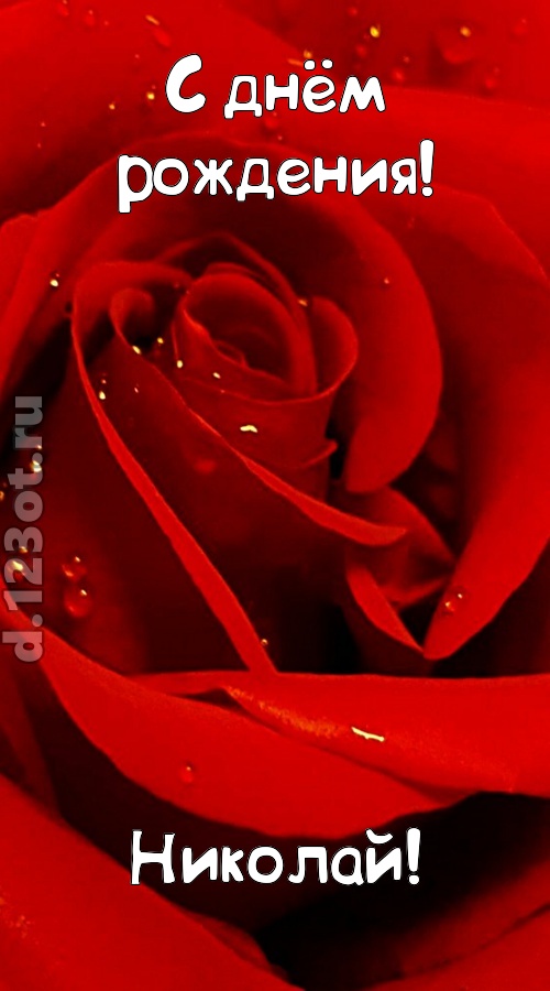 неподкупная открытка с днём рождения николай, скачать онлайн бесплатно на iphone для вацап, поздравление николай