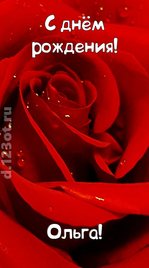 неподкупная открытка с днём рождения ольга, скачать онлайн бесплатно на iphone для вацап, поздравление ольга