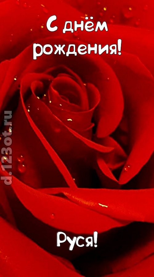 неподкупная открытка с днём рождения руся, скачать онлайн бесплатно на iphone для вацап, поздравление руся