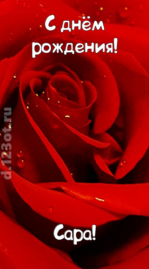 неподкупная открытка с днём рождения сара, скачать онлайн бесплатно на iphone для вацап, поздравление сара