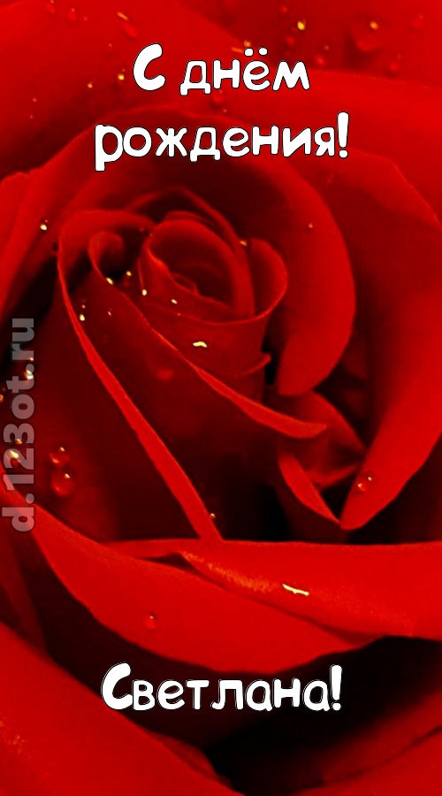 неподкупная открытка с днём рождения светлана, скачать онлайн бесплатно на iphone для вацап, поздравление светлана