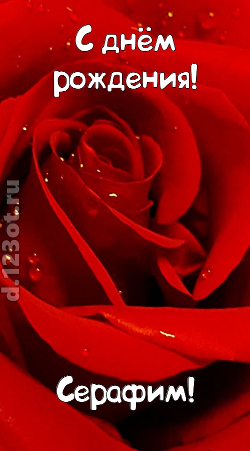 неподкупная открытка с днём рождения серафим, скачать онлайн бесплатно на iphone для вацап, поздравление серафим