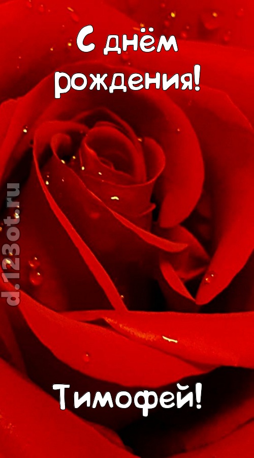 неподкупная открытка с днём рождения тимофей, скачать онлайн бесплатно на iphone для вацап, поздравление тимофей