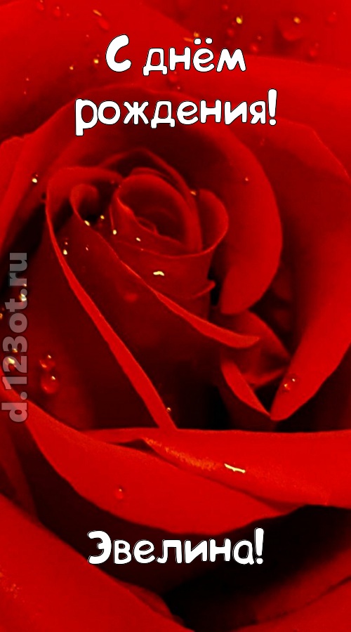 неподкупная открытка с днём рождения эвелина, скачать онлайн бесплатно на iphone для вацап, поздравление эвелина