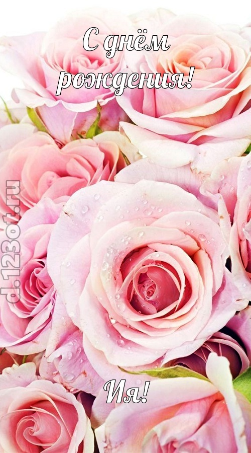 неподражаемая открытка с днём рождения ия, скачать онлайн бесплатно на iphone для вацап, поздравление ия