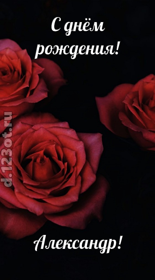 непосредственная открытка с днём рождения александр, скачать онлайн бесплатно на iphone для вацап, поздравление александр