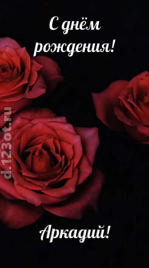 непосредственная открытка с днём рождения аркадий, скачать онлайн бесплатно на iphone для вацап, поздравление аркадий