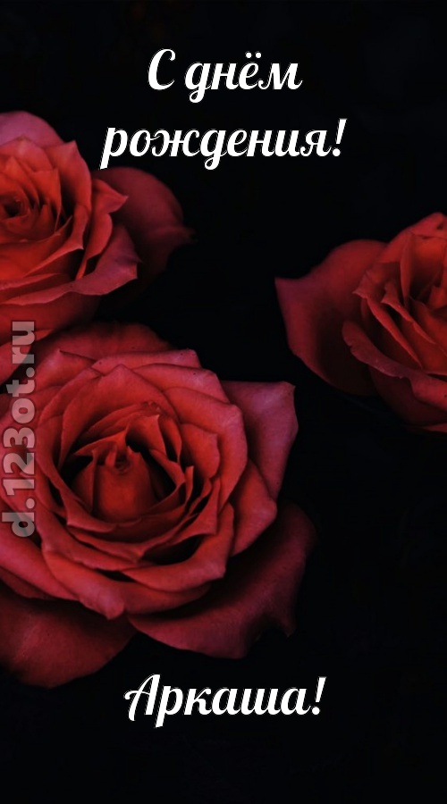непосредственная открытка с днём рождения аркаша, скачать онлайн бесплатно на iphone для вацап, поздравление аркаша