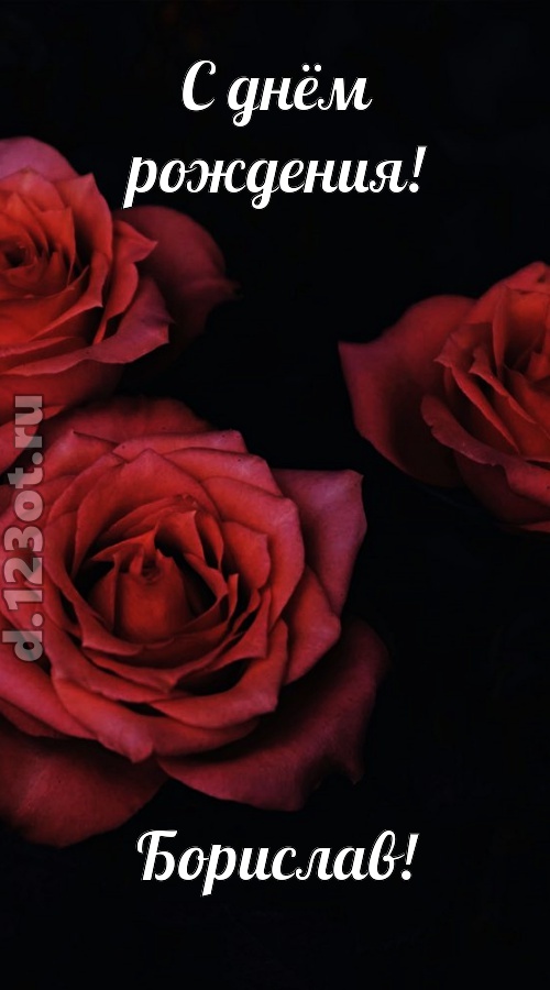 непосредственная открытка с днём рождения борислав, скачать онлайн бесплатно на iphone для вацап, поздравление борислав