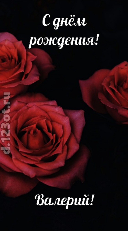 непосредственная открытка с днём рождения валерий, скачать онлайн бесплатно на iphone для вацап, поздравление валерий