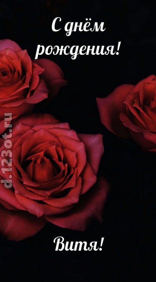 непосредственная открытка с днём рождения витя, скачать онлайн бесплатно на iphone для вацап, поздравление витя