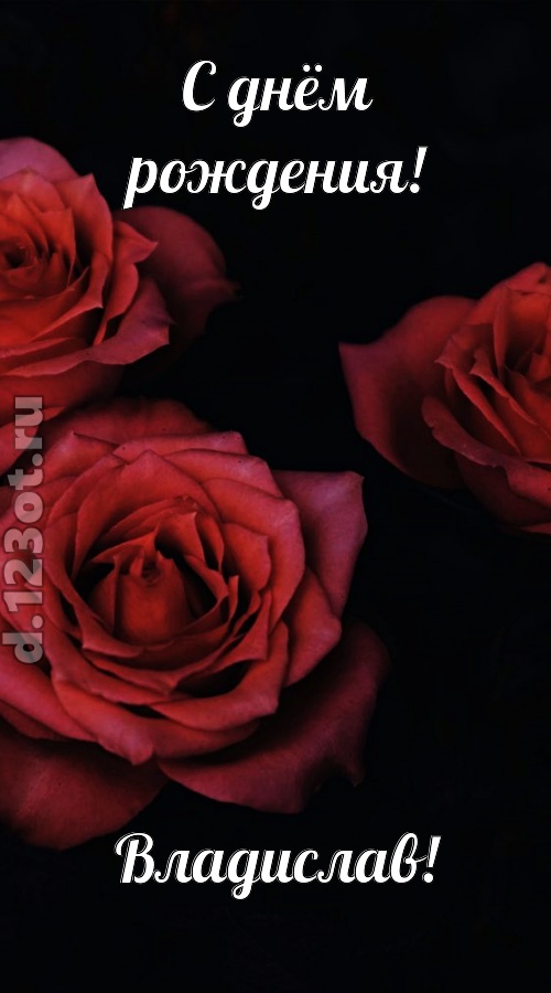 непосредственная открытка с днём рождения владислав, скачать онлайн бесплатно на iphone для вацап, поздравление владислав