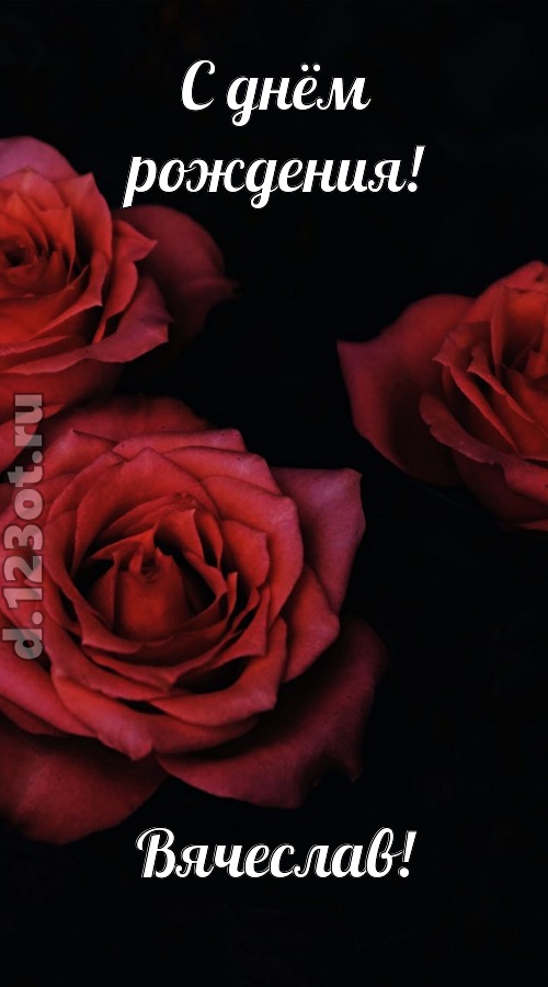 непосредственная открытка с днём рождения вячеслав, скачать онлайн бесплатно на iphone для вацап, поздравление вячеслав