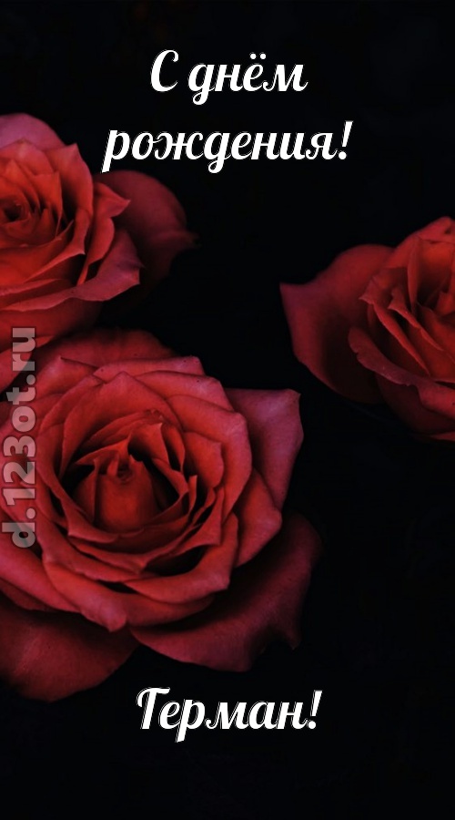 непосредственная открытка с днём рождения герман, скачать онлайн бесплатно на iphone для вацап, поздравление герман