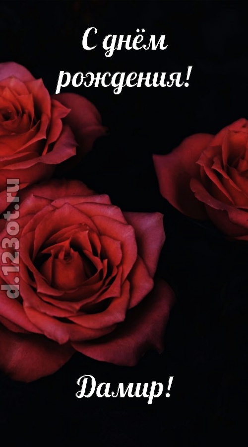непосредственная открытка с днём рождения дамир, скачать онлайн бесплатно на iphone для вацап, поздравление дамир