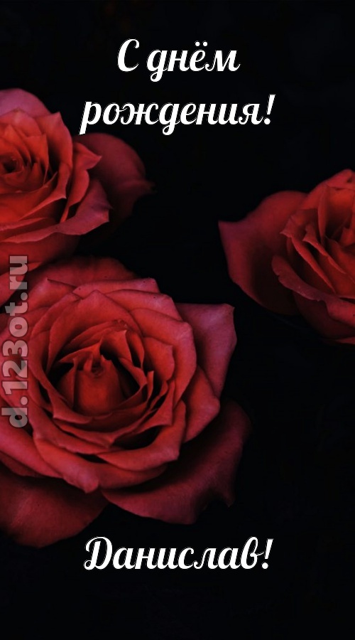 непосредственная открытка с днём рождения данислав, скачать онлайн бесплатно на iphone для вацап, поздравление данислав