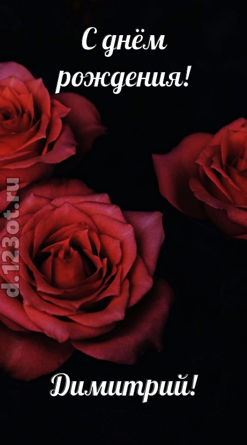 непосредственная открытка с днём рождения димитрий, скачать онлайн бесплатно на iphone для вацап, поздравление димитрий