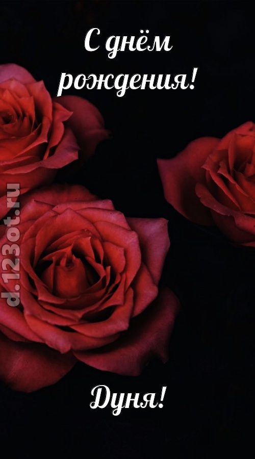 непосредственная открытка с днём рождения дуня, скачать онлайн бесплатно на iphone для вацап, поздравление дуня