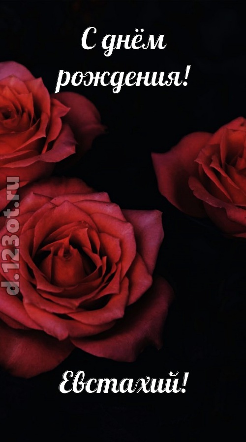 непосредственная открытка с днём рождения евстахий, скачать онлайн бесплатно на iphone для вацап, поздравление евстахий