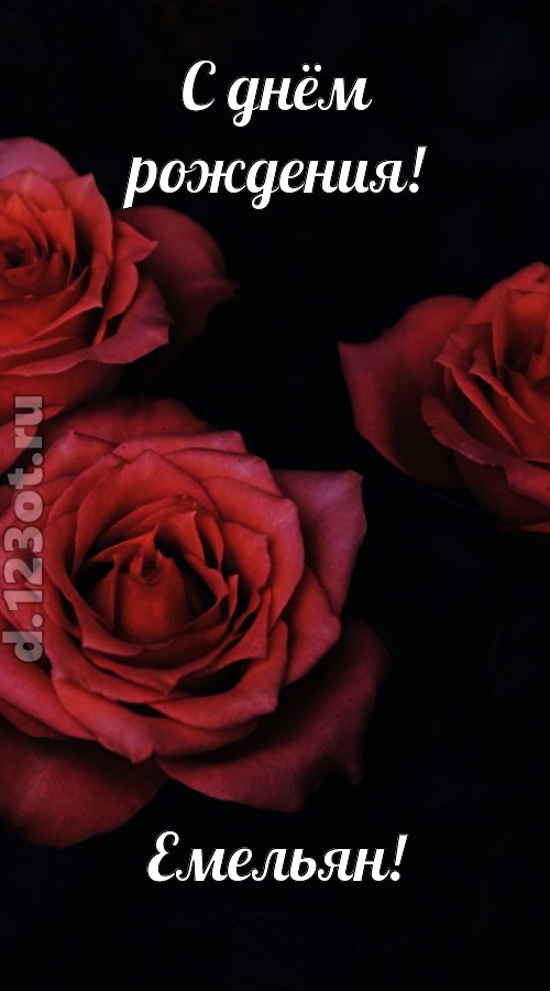 непосредственная открытка с днём рождения емельян, скачать онлайн бесплатно на iphone для вацап, поздравление емельян
