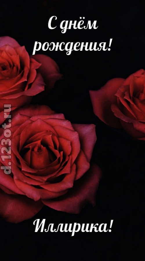 непосредственная открытка с днём рождения иллирика, скачать онлайн бесплатно на iphone для вацап, поздравление иллирика