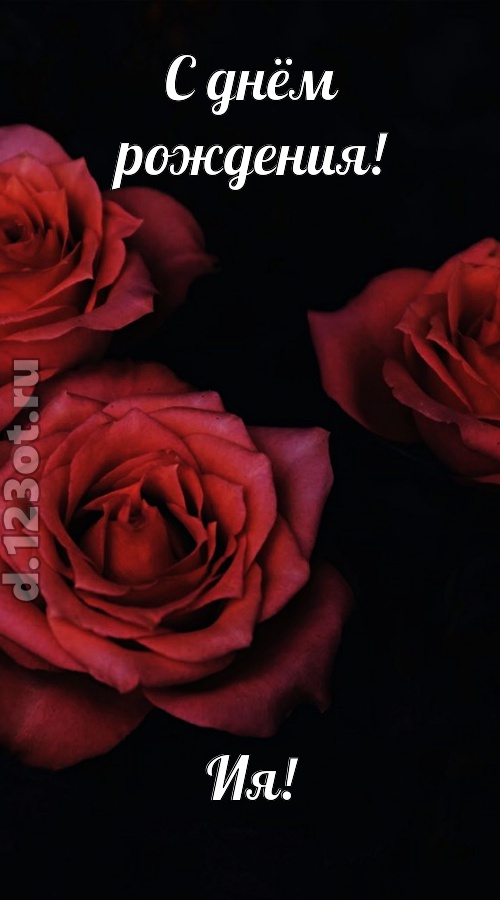 непосредственная открытка с днём рождения ия, скачать онлайн бесплатно на iphone для вацап, поздравление ия