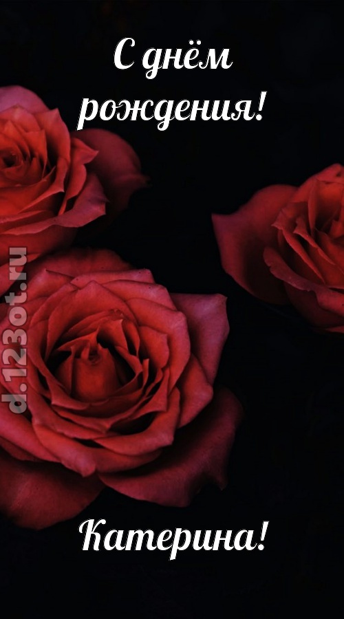 непосредственная открытка с днём рождения катерина, скачать онлайн бесплатно на iphone для вацап, поздравление катерина
