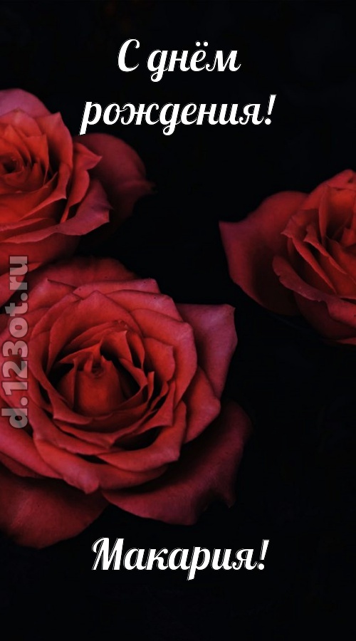 непосредственная открытка с днём рождения макария, скачать онлайн бесплатно на iphone для вацап, поздравление макария