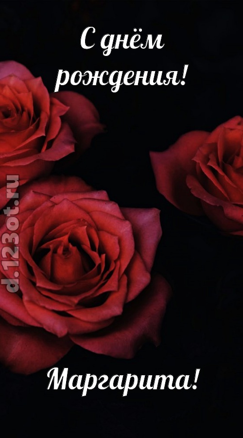 непосредственная открытка с днём рождения маргарита, скачать онлайн бесплатно на iphone для вацап, поздравление маргарита
