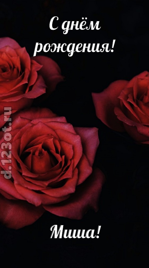 непосредственная открытка с днём рождения миша, скачать онлайн бесплатно на iphone для вацап, поздравление миша