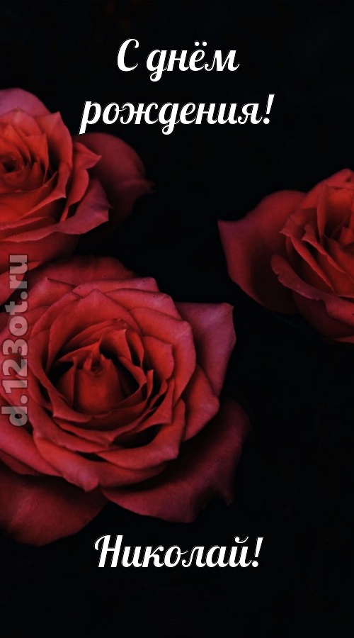 непосредственная открытка с днём рождения николай, скачать онлайн бесплатно на iphone для вацап, поздравление николай