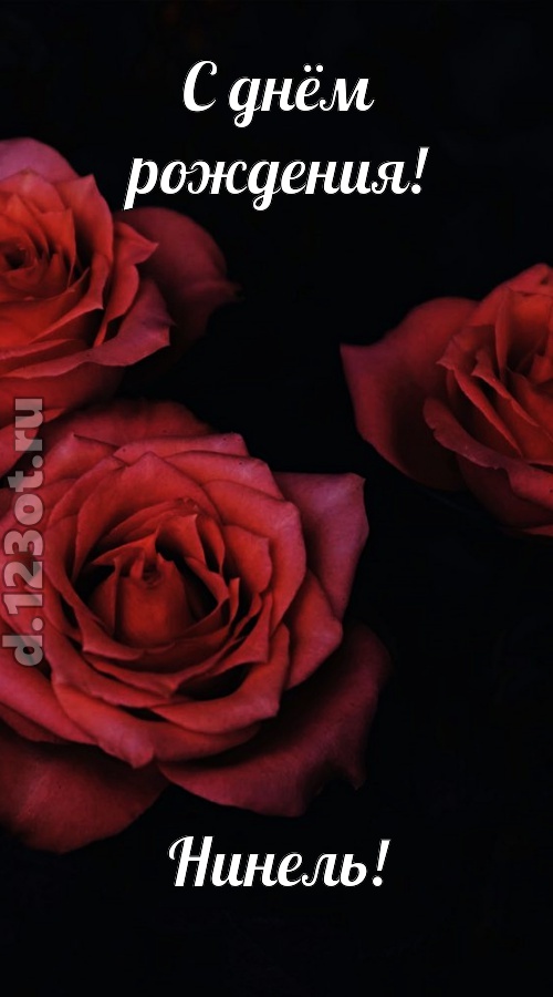 непосредственная открытка с днём рождения нинель, скачать онлайн бесплатно на iphone для вацап, поздравление нинель