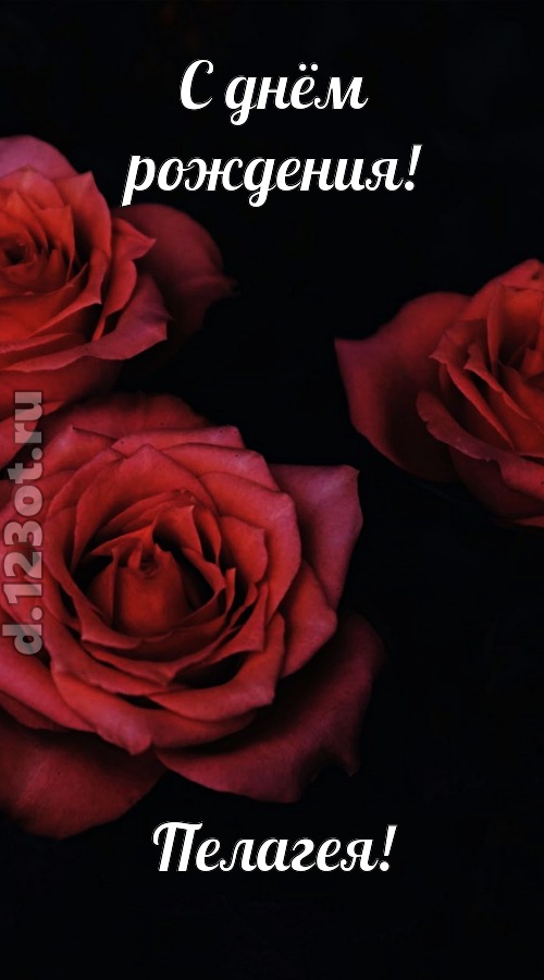 непосредственная открытка с днём рождения пелагея, скачать онлайн бесплатно на iphone для вацап, поздравление пелагея
