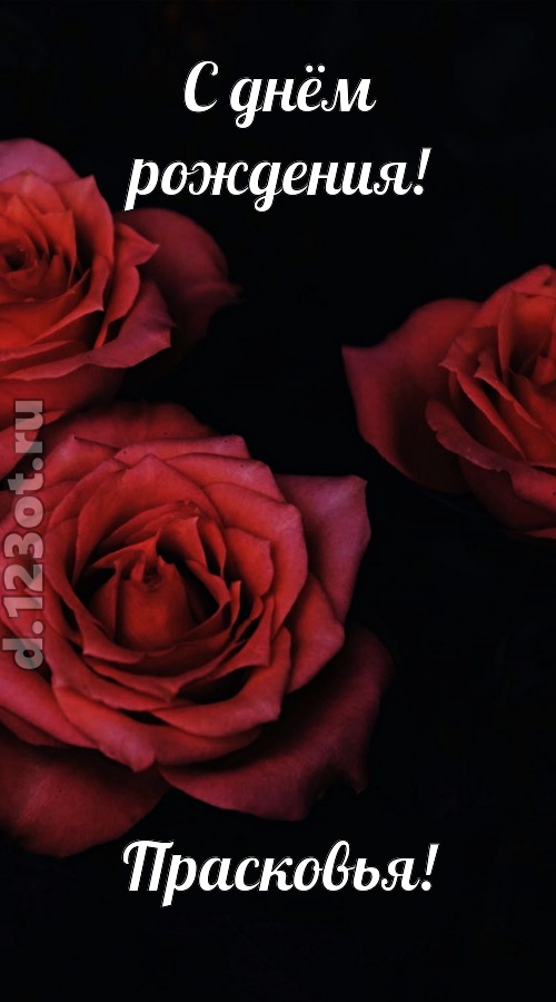 непосредственная открытка с днём рождения прасковья, скачать онлайн бесплатно на iphone для вацап, поздравление прасковья