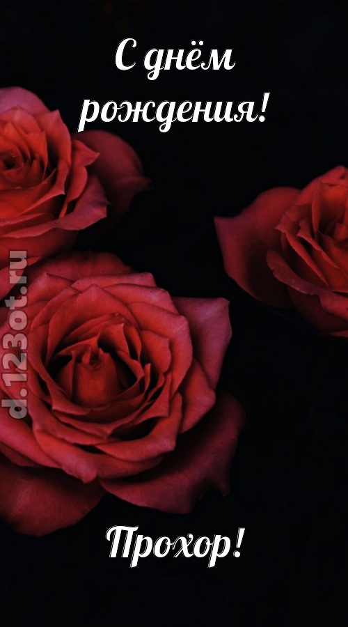 непосредственная открытка с днём рождения прохор, скачать онлайн бесплатно на iphone для вацап, поздравление прохор