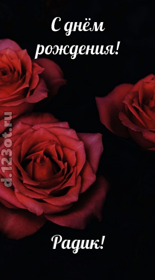 непосредственная открытка с днём рождения радик, скачать онлайн бесплатно на iphone для вацап, поздравление радик