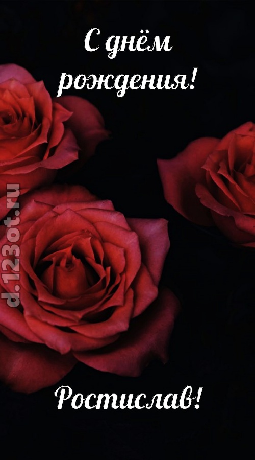 непосредственная открытка с днём рождения ростислав, скачать онлайн бесплатно на iphone для вацап, поздравление ростислав