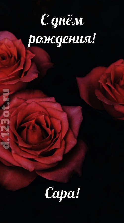 непосредственная открытка с днём рождения сара, скачать онлайн бесплатно на iphone для вацап, поздравление сара