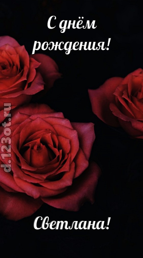 непосредственная открытка с днём рождения светлана, скачать онлайн бесплатно на iphone для вацап, поздравление светлана